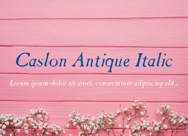 Caslon Antique Italic example